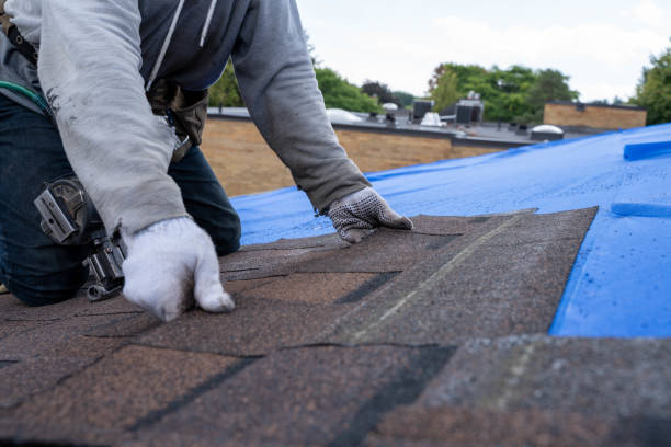 Best Roof Waterproofing Services  in Kenai, AK